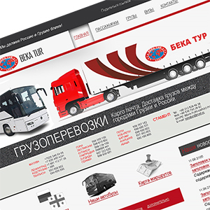 Разработка сайта визитки для БекаТур